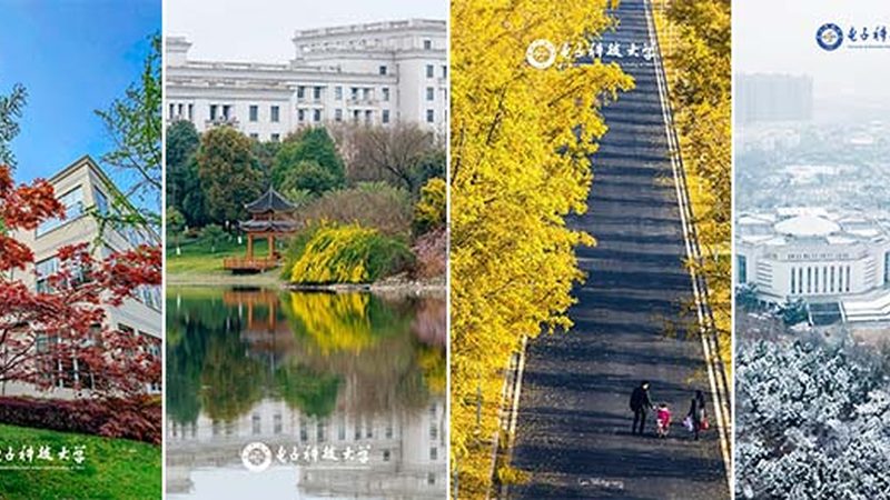 铝电解电容漏电流，揭秘其大小背后的秘密